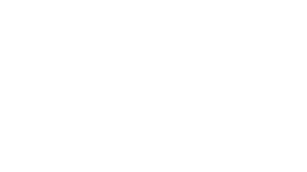 VR Logo White